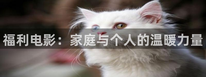 宅男视频最新章节：福利电影：家庭与个人的温暖力量