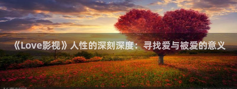 日韩宅男视频：《Love影视》人性的深刻深度：寻找爱与被爱的意义