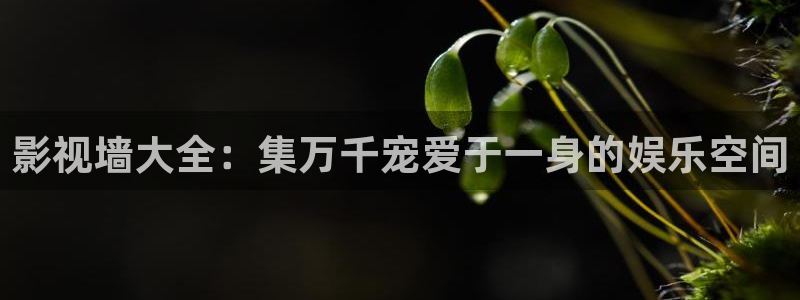 宅男视频无删减：影视墙大全：集万千宠爱于一身的娱乐空间