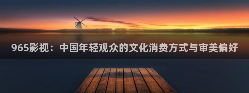 黄色宅男视频：965影视：中国年轻观众的文化消费方式与审美偏好