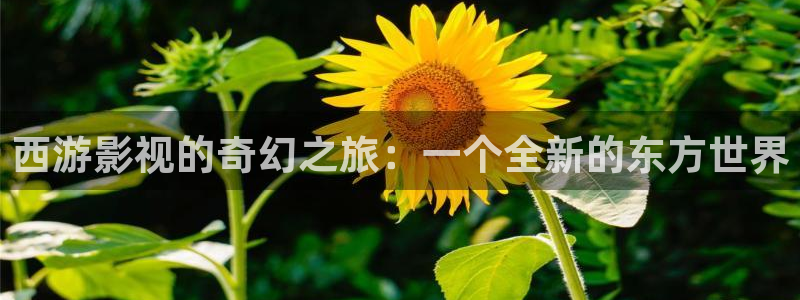 免费宅男视频在线看：西游影视的奇幻之旅：一个全新的东方世界
