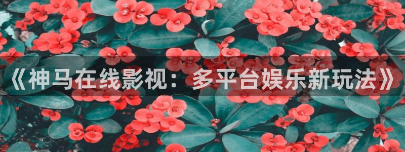 宅男视频下载安装：《神马在线影视：多平台娱乐新玩法》