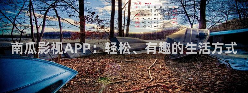 宅男视频网站：南瓜影视APP：轻松、有趣的生活方式